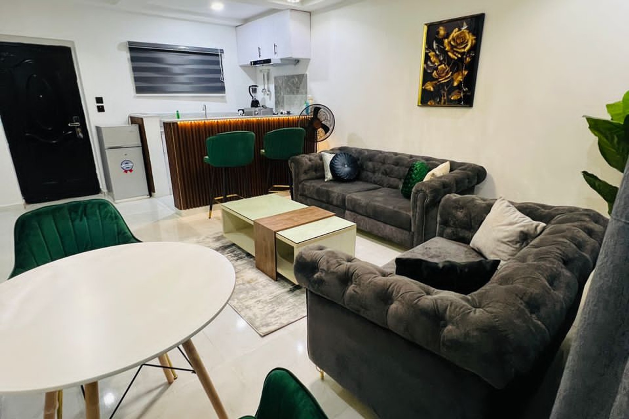 Furnished 1 Bedroom Apartment (2 Units) For Rent